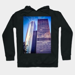 Skyscrapers, The Battery, Manhattan, NYC Hoodie